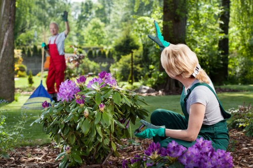 Artificial grass used in a Lee family garden and play area
