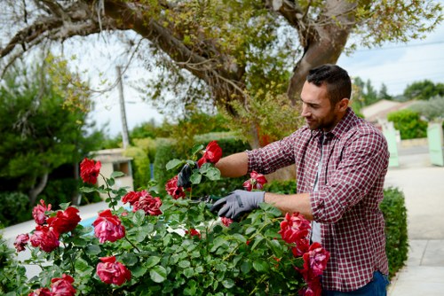 Sustainable landscaping project with recycled materials and responsible waste separation