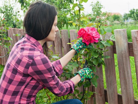Trusted Landscaping Lee payments area showing flexible secure checkout methods