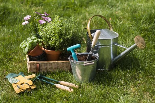 Local garden drainage problem in Lee affecting patio and planting beds