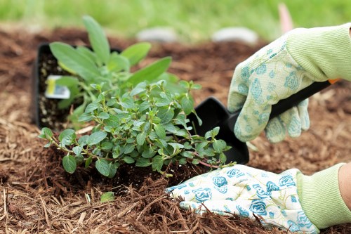 Professional garden construction and soft landscaping in Lee