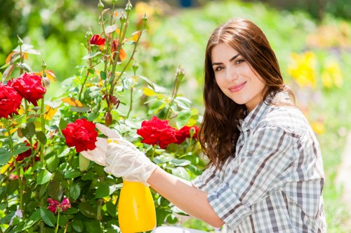 Professional Lee landscaping approach to plant selection and site planning