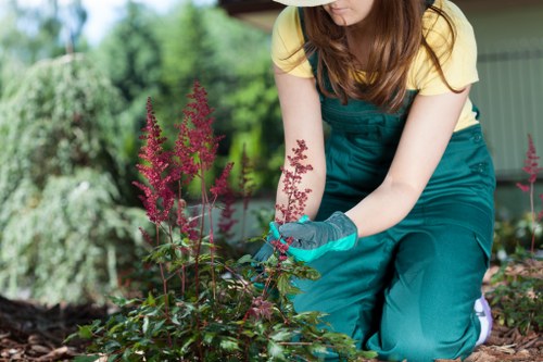 Supervisor assessing a landscaping area for safety risks