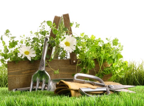 Brush removal and yard waste load pricing example