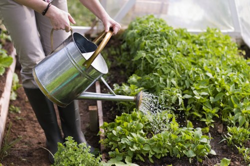 Improved garden drainage solution for a commercial outdoor space near Lee